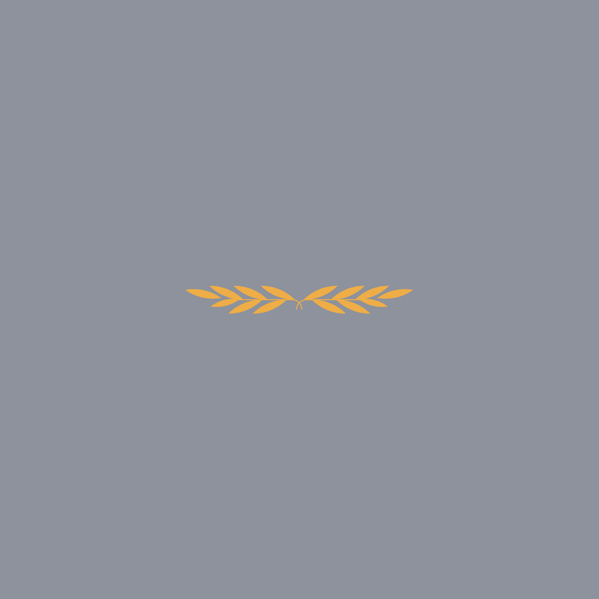Seazone Branding and Development
